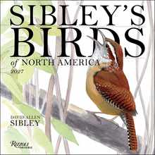 Sibley's Birds of America 2027 Wall Calendar