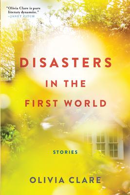 Disasters in the First World: Stories