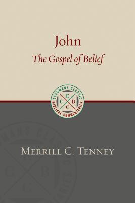 John: The Gospel of Belief: An Analytic Study of the Text