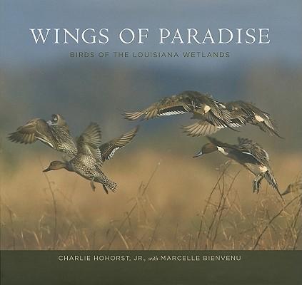 Wings of Paradise: Birds of the Louisiana Wetlands