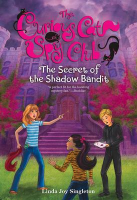 The Secret of the Shadow Bandit: Volume 4