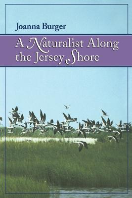 A Naturalist Along the Jersey Shore