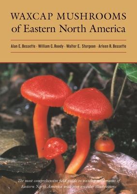 Waxcap Mushrooms of Eastern North America