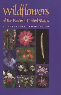 Wildflowers of the Eastern United States