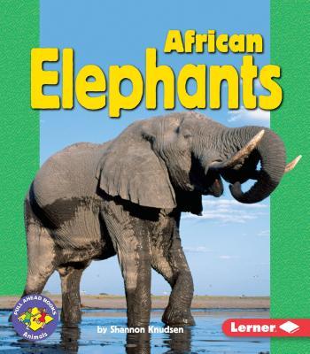 African Elephants