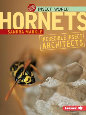 Hornets: Incredible Insect Architects