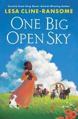 One Big Open Sky Subscription