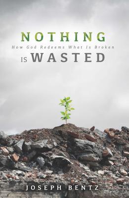 Nothing Is Wasted: How God Redeems What Is Broken