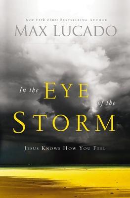 In the Eye of the Storm: Jesus Knows How You Feel