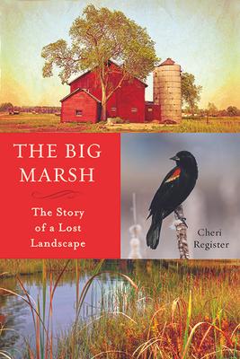 The Big Marsh: The Story of a Lost Landscape