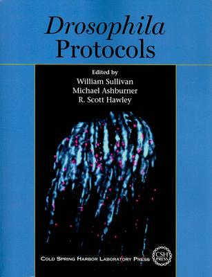 Drosophila Protocols Subscription