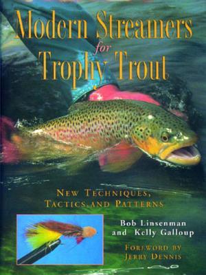 Modern Streamers for Trophy Trout: New Techniques, Tactics, and Patterns