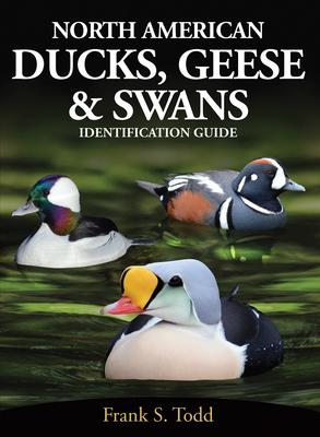 North American Ducks, Geese and Swans: An Identification Guide