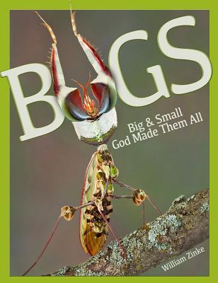 Bugs Big & Small: God Made Them All