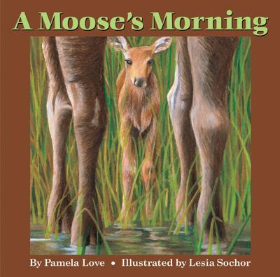 A Moose's Morning