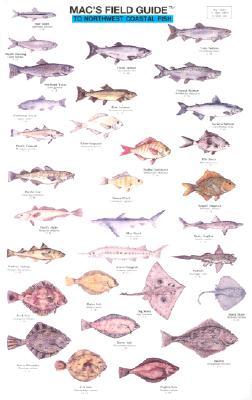 Mac's Field Guides: Northwest Coastal Fish