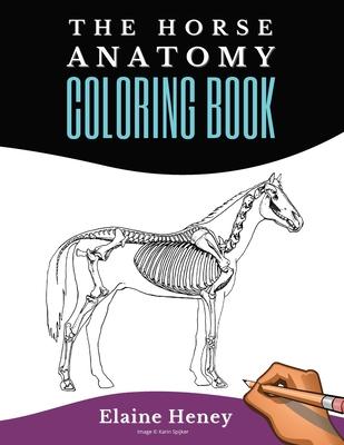 Horse Anatomy Coloring Book For Adults - Self Assessment Equine Coloring Workbook: Test Your Knowledge - For Equestrians & Veterinary Students