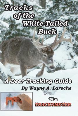 Tracks of the White-Tailed Buck: A Deer Tracking Guide