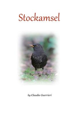 Stockamsel Subscription