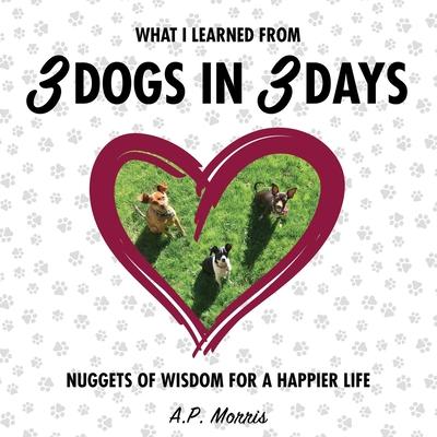 What I Learned from 3 Dogs in 3 Days: Nuggets of Wisdom for a Happier Life