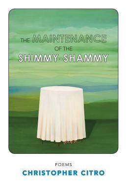 The Maintenance of the ShimmyShammy