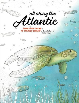 All Along the Atlantic: From Open Ocean to Cypress Swamp