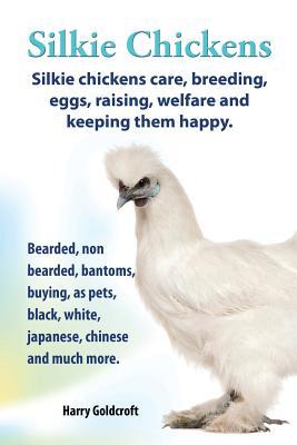 . Silkie Chickens. Silkie Chickens Care, Breeding, Eggs, Raising, Welfare and Keeping Them Happy, Bearded, Non Bearded, Bantoms, Buying, as Pets, Blac