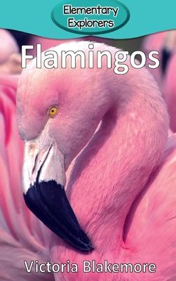 Flamingos