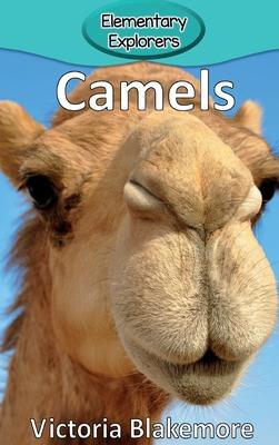 Camels