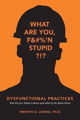 Dysfunctional Practices: that kill your Safety Culture (and what to do about them)