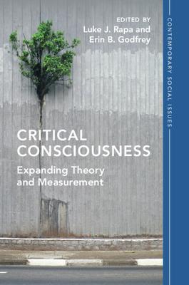 Critical Consciousness: Expanding Theory and Measurement