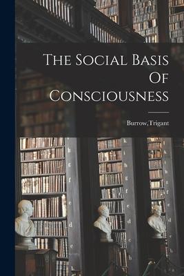 The Social Basis Of Consciousness