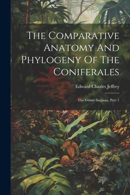 The Comparative Anatomy And Phylogeny Of The Coniferales: The Genus Sequoia, Part 1