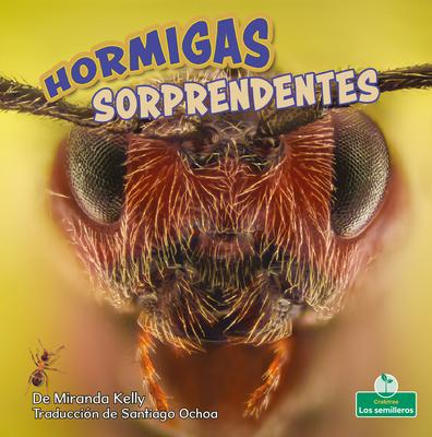 Hormigas Sorprendentes (Amazing Ants) Subscription