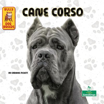 Cane Corso