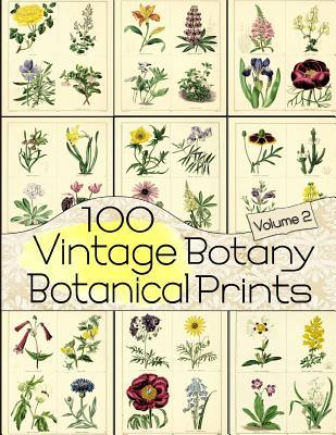 100 Vintage Botany Botanical Prints Volume 2