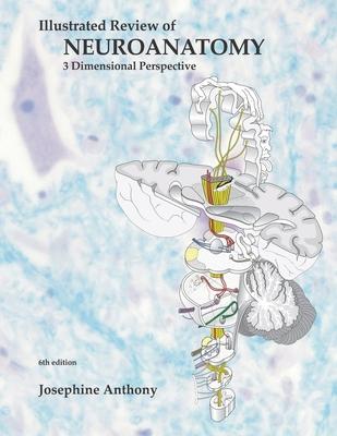 Illustrated Review of Neuroanatomy: 3 Dimensional Perspective