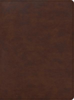 CSB Apologetics Study Bible for Students, Brown Leathertouch