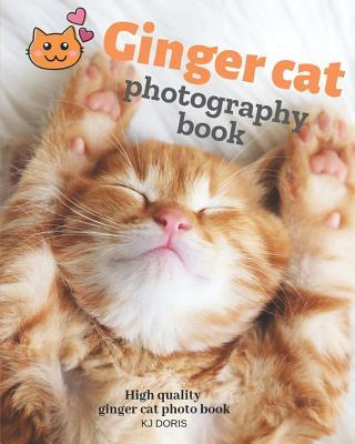 Ginger cat photography book: High quality ginger cat photo book