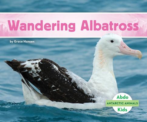 Wandering Albatross