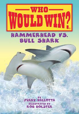 Hammerhead vs. Bull Shark