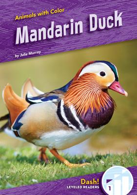 Mandarin Duck