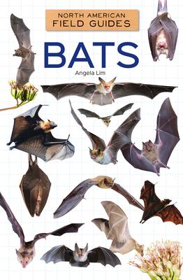 Bats Subscription