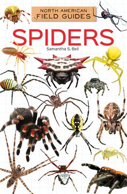 Spiders Subscription