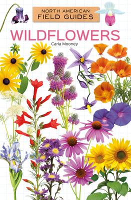 Wildflowers Subscription