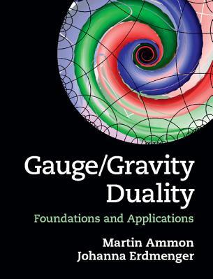 Gauge/Gravity Duality: Foundations and Applications