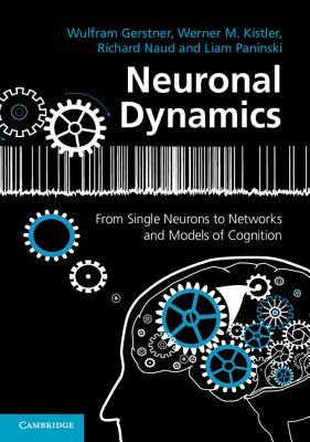 Neuronal Dynamics: From Single Neurons to Networks and Models of Cognition