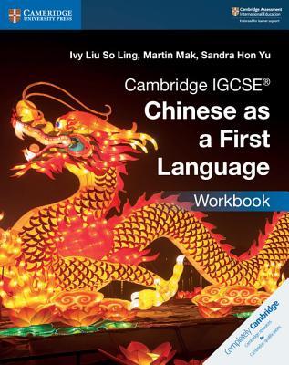 Cambridge Igcse(r) Chinese as a First Language Workbook