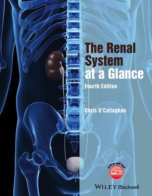 The Renal System at a Glance