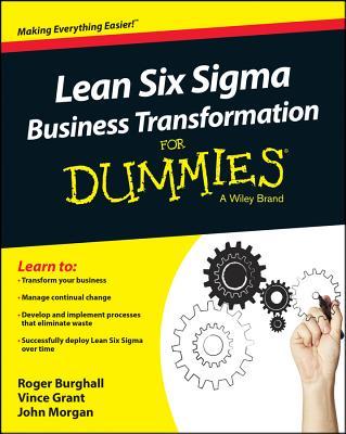 Lean Six SIGMA Business Transformation for Dummies